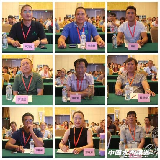 昨天加州鲈行业发生一件大事！有人揭秘火爆的背后竟然是这样……